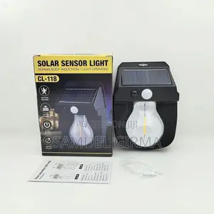 ~ Solar Induction Wall Lamp
