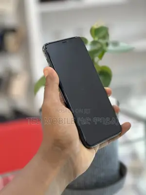 Apple iPhone 11 Pro Max 256 GB Black