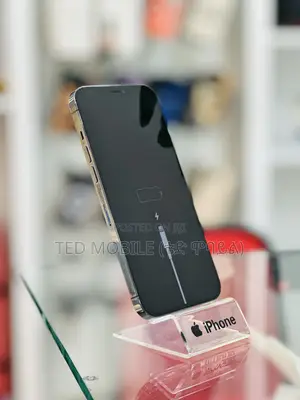 Apple iPhone 12 Pro Max 256 GB Blue