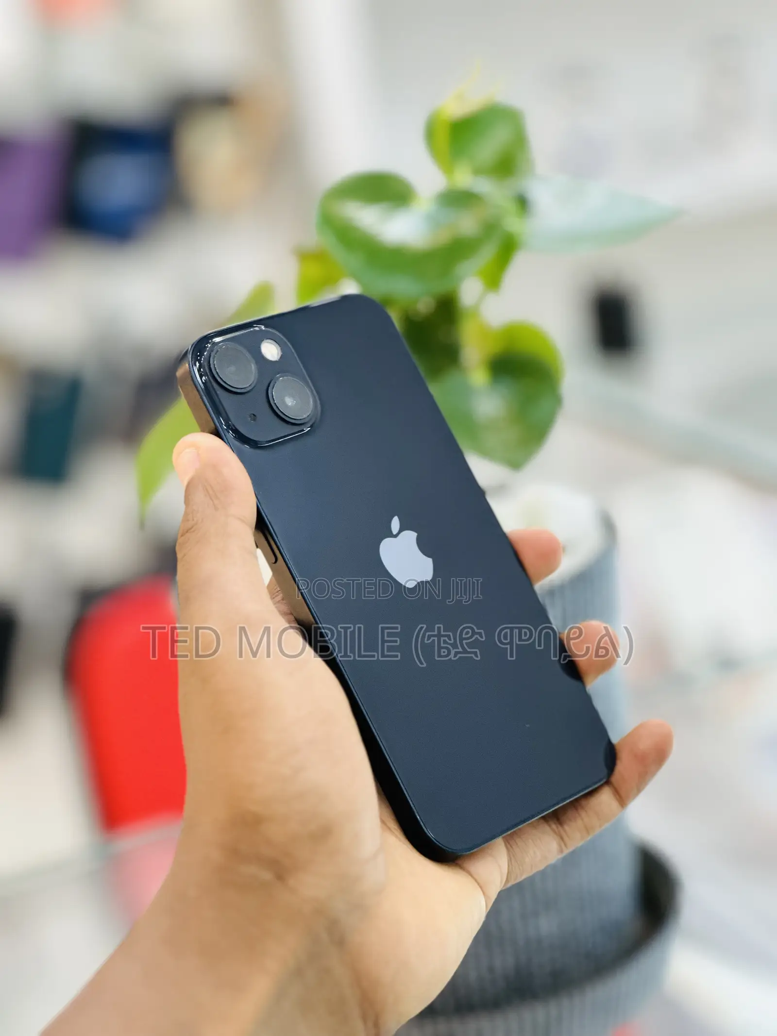 Apple iPhone 13 256 GB