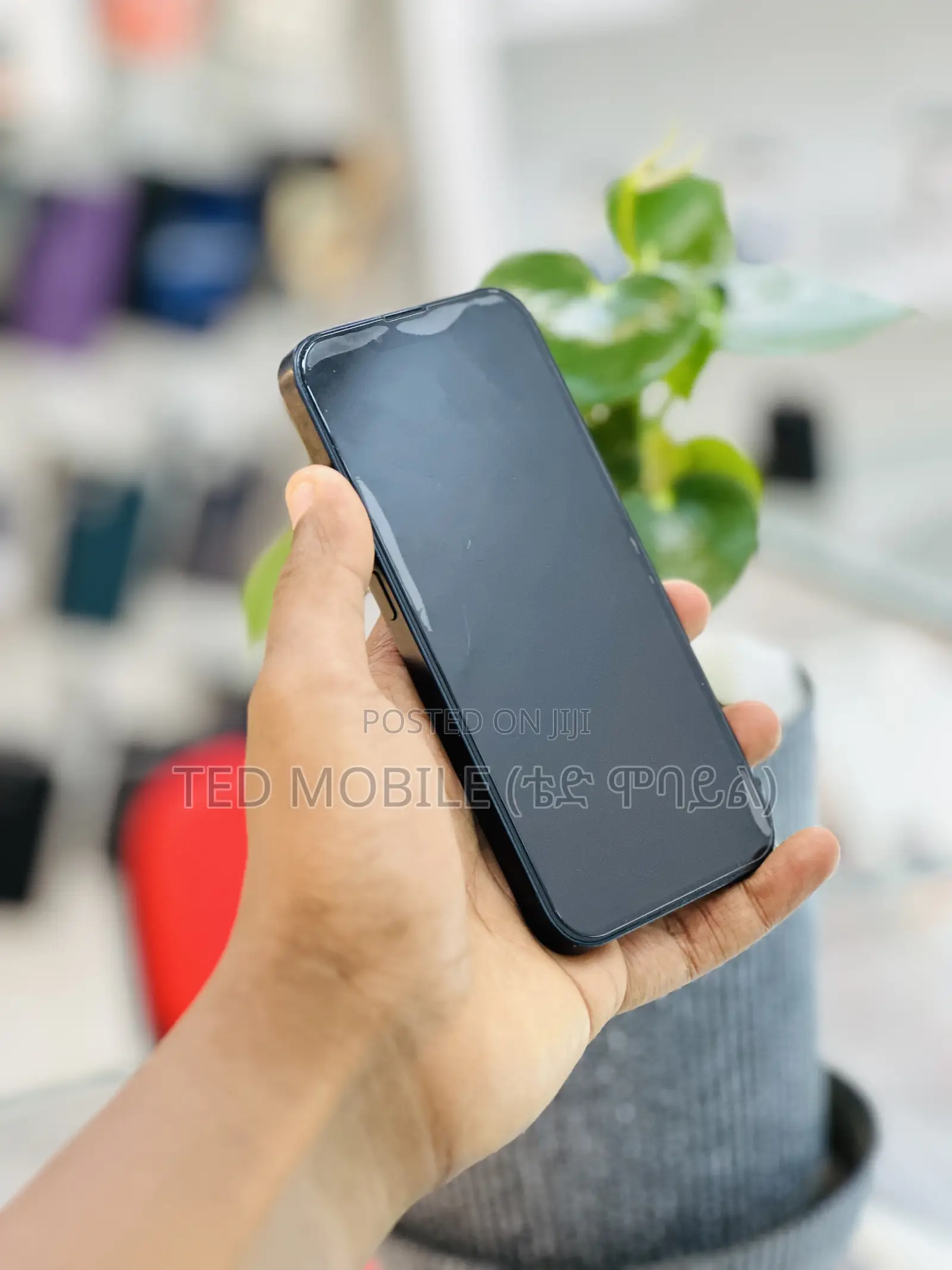 Apple iPhone 13 256 GB