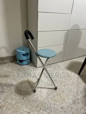 Walking Stick for the Elderly _Chair Pad/Walking Stick