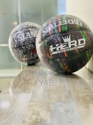 Photo - Basketballs  HERD