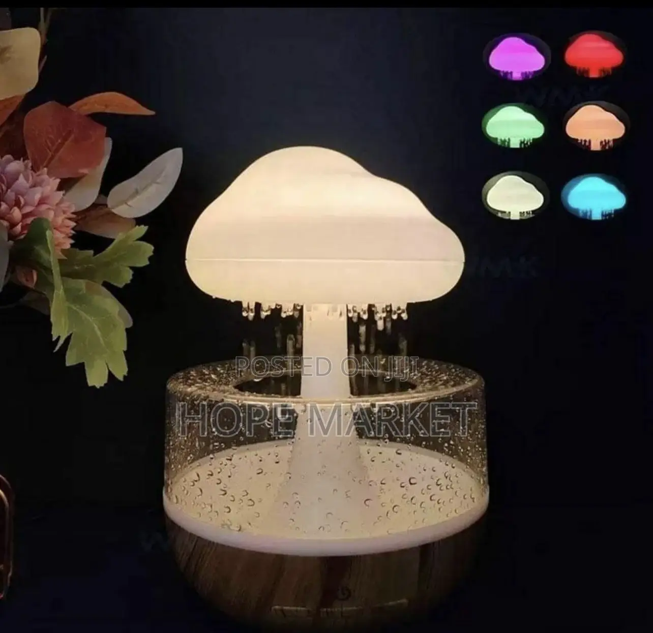 Cloud Rain Humidifier