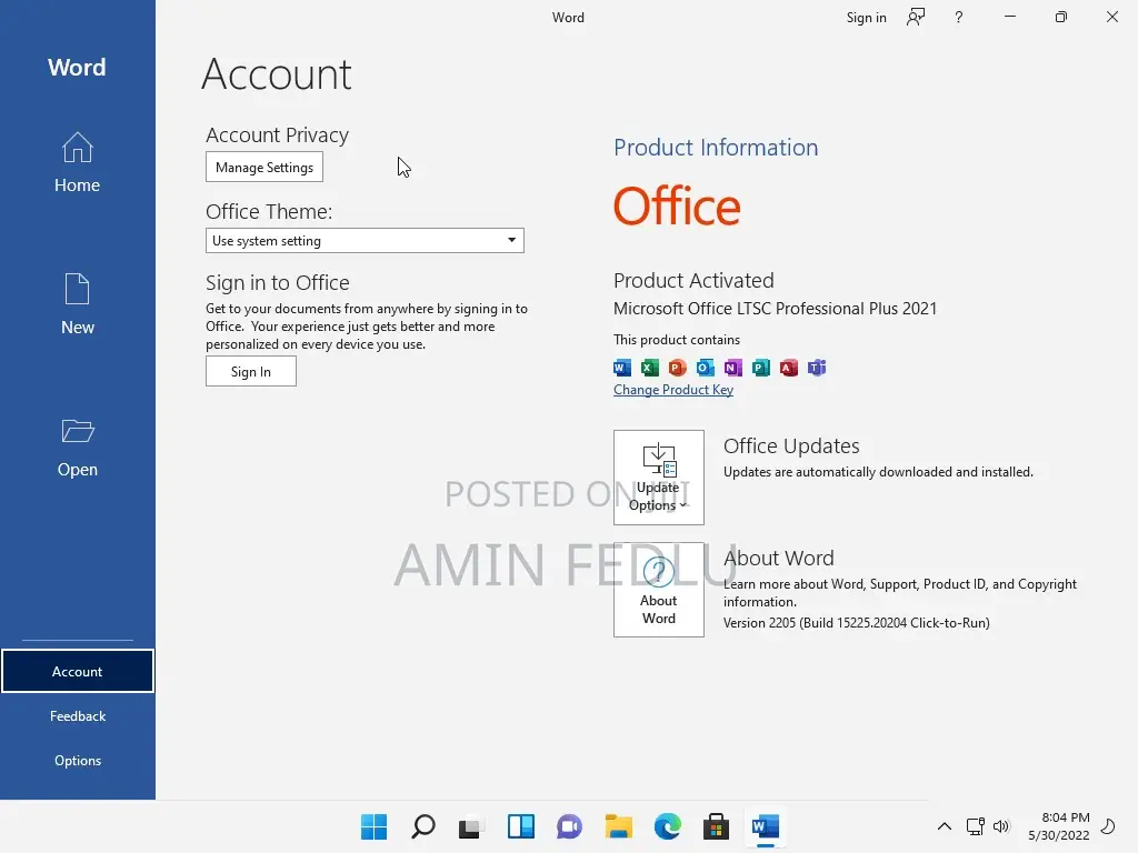 Windows 11 Pro (No TPM Required) With Office 2021 Pro Plus