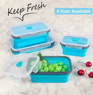 4pcs Foldable Silicone Fresh Keeping Box
.