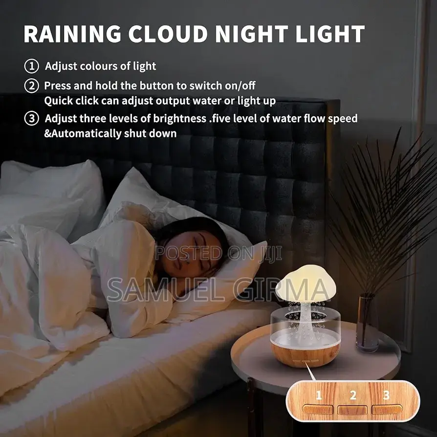 ~Cloud Rain Humidifier