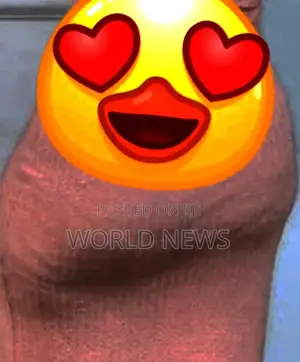 Photo - Pocket Pussy