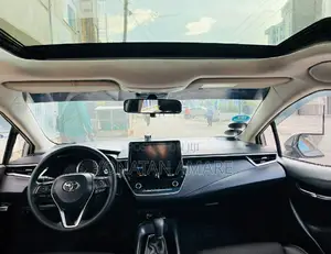 Toyota Corolla 2023 Brown