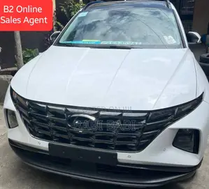 Photo - Hyundai Tucson 2022 White