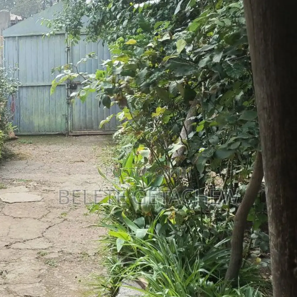 ልደታ ፤ ቆንጆ ቦታ አስቸኳይ ሽያጭ ፦ 215 ካ.ሜ