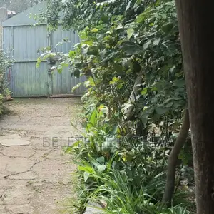 ልደታ ፤ ቆንጆ ቦታ አስቸኳይ ሽያጭ ፦ 215 ካ.ሜ