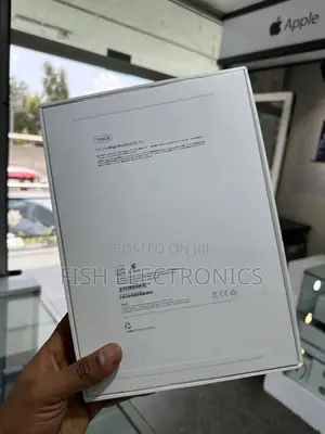 New Apple iPad Pro 11 (2024) 256 GB Gray