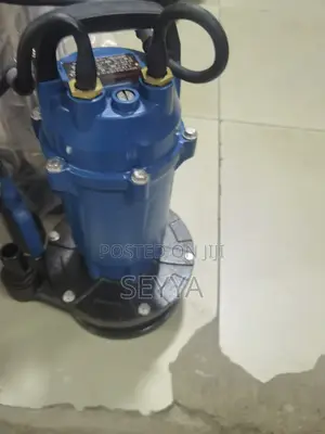 Photo - Clear Water Sumersible Pump