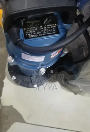 Clear Water Sumersible Pump