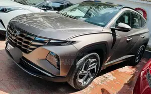 Photo - New Hyundai Tucson 2021 Gray