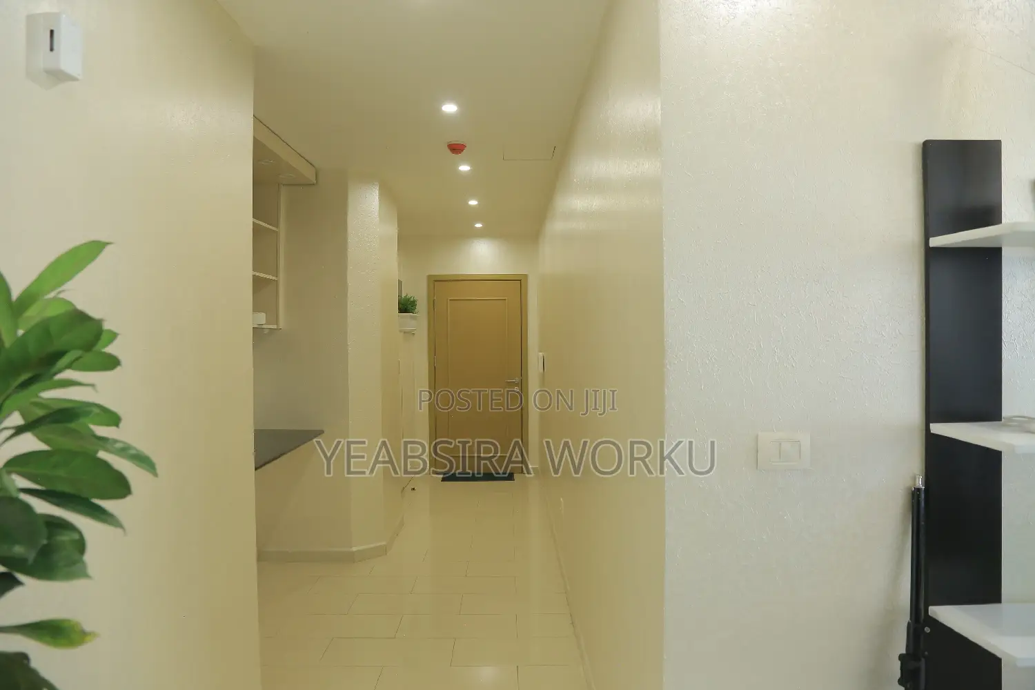 Furnished 2bdrm Apartment in Alsam Realestate, Lideta for rent