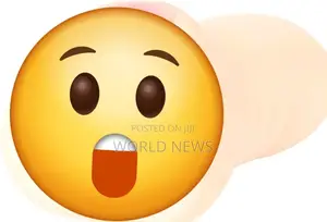 Photo - Pocket Pussy for Men