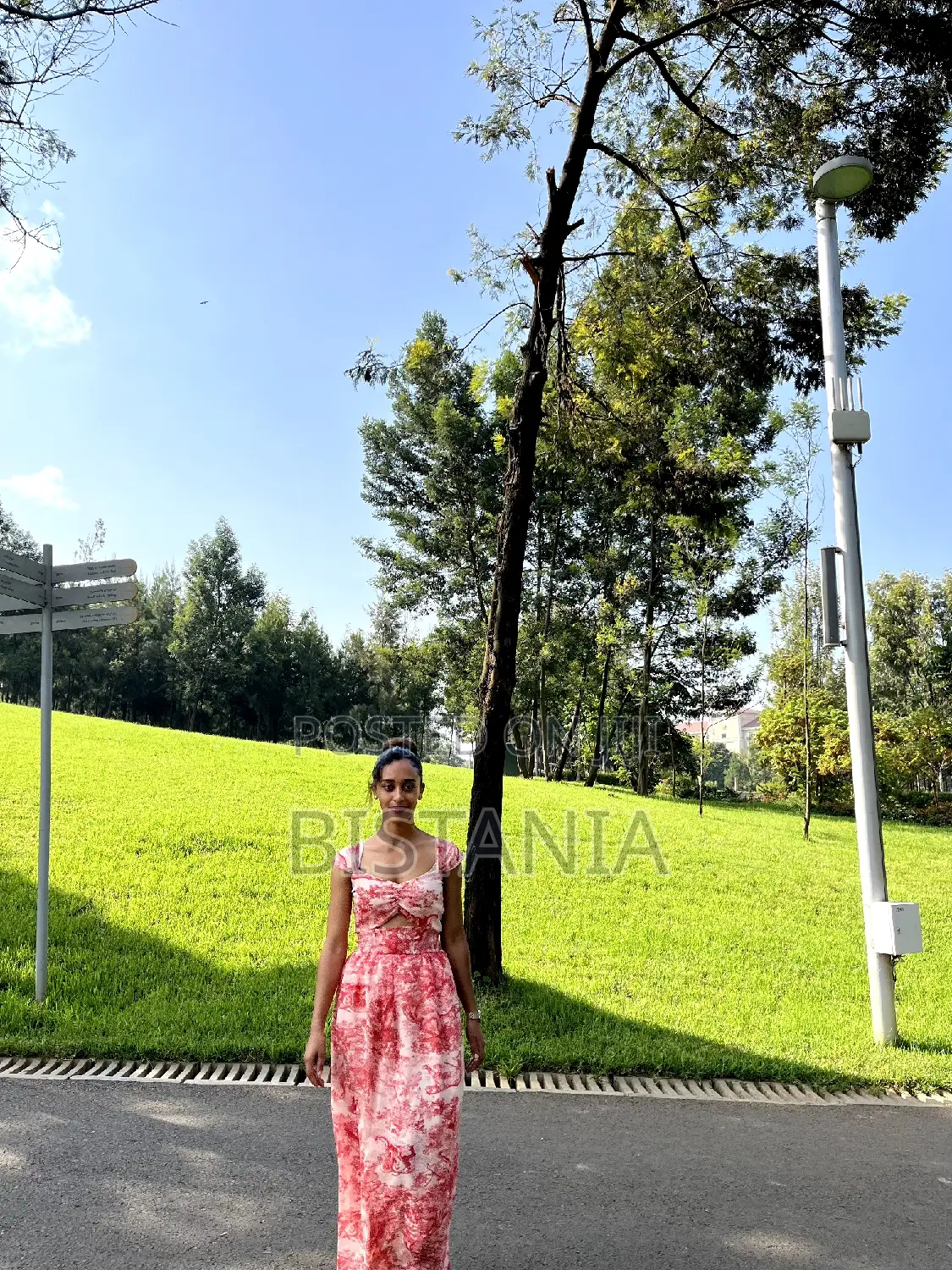 Women's Summer Dress