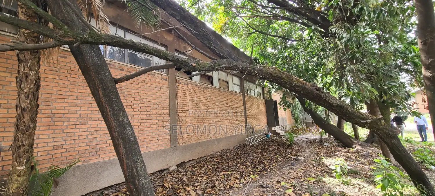 Warehouse for Rent, Large Size 1100 Sq