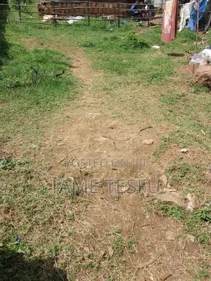 1bdrm House in Kotobe Digital, Yeka for sale