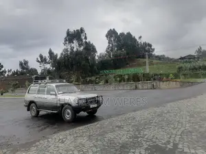 Toyota Land Cruiser 1994 Silver