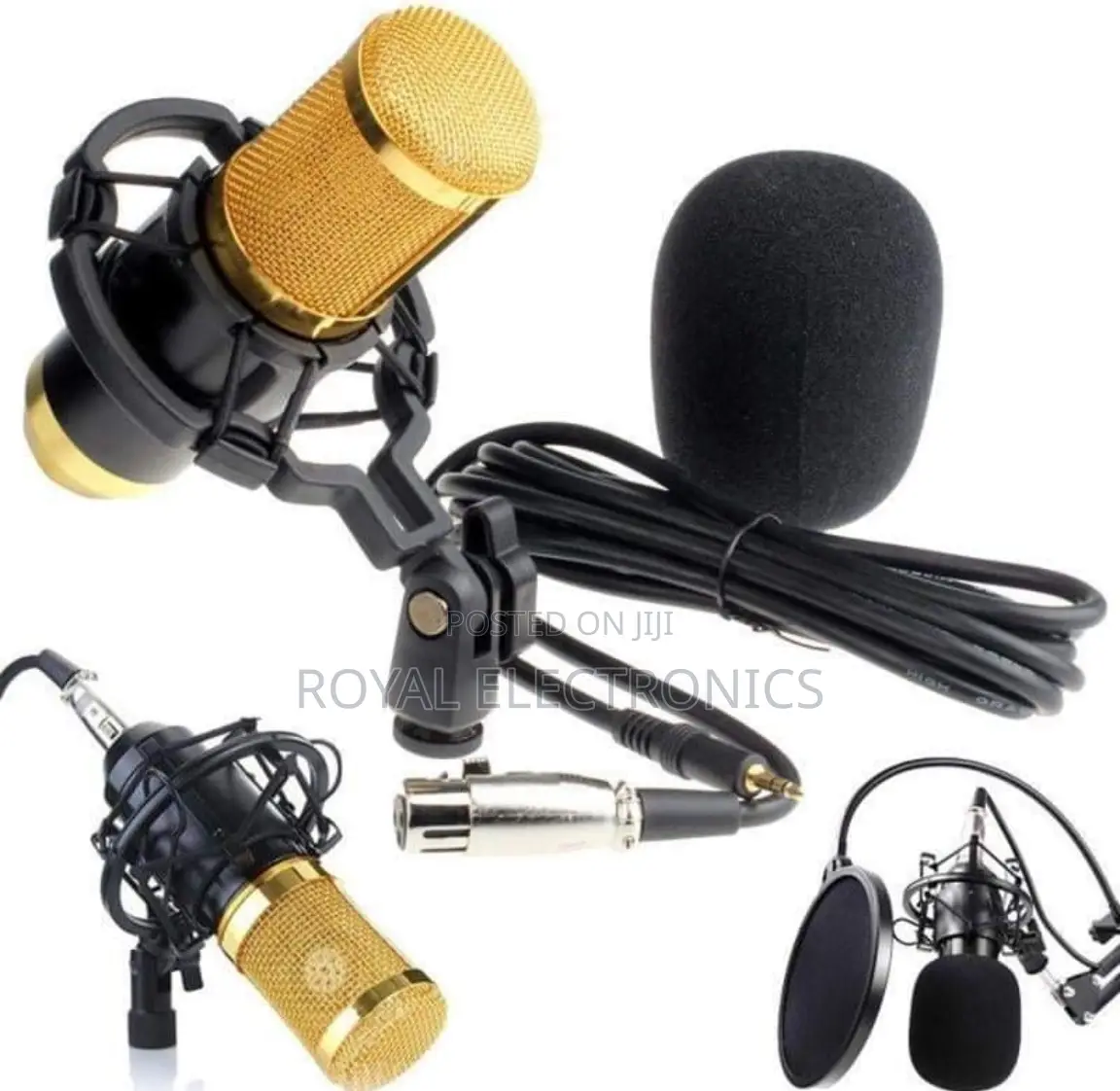 Legendary Vocal Professional Condenser Microphone