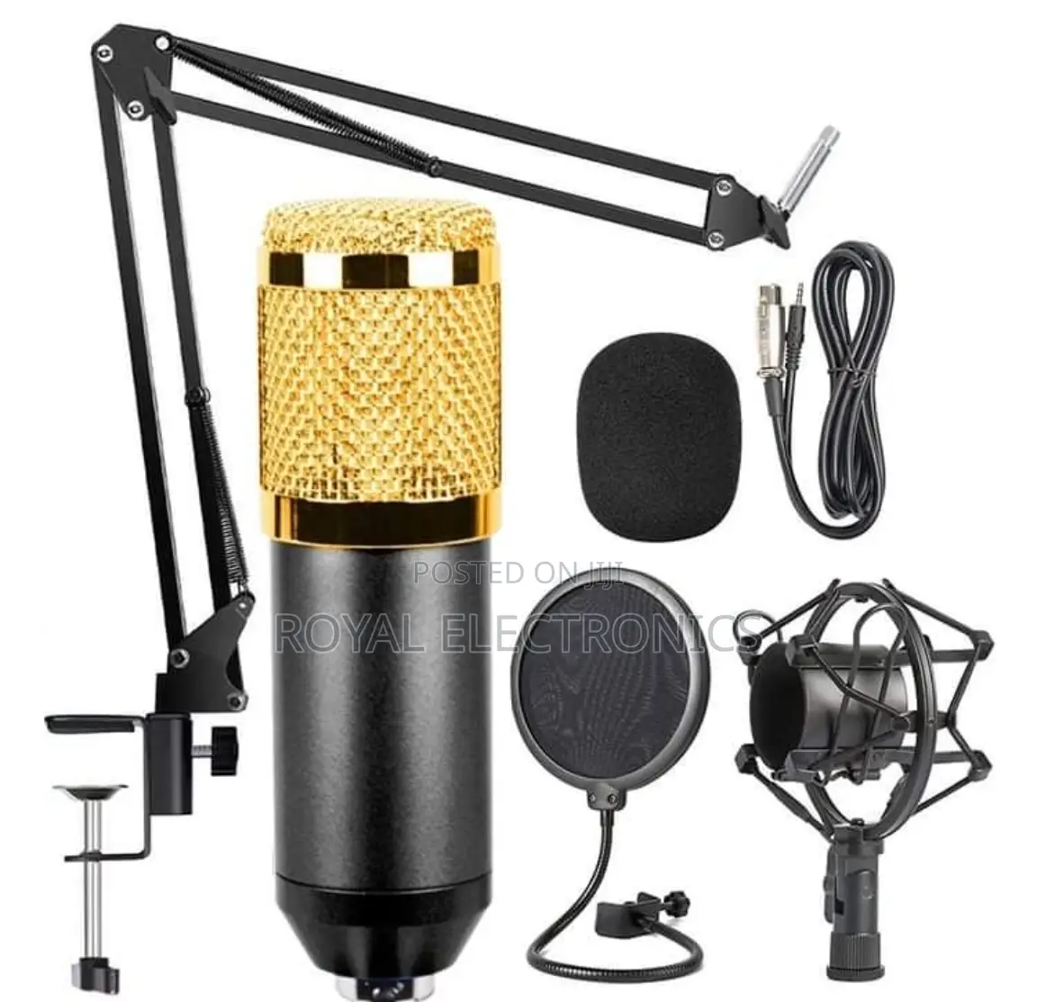Legendary Vocal Professional Condenser Microphone