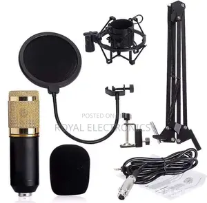 Photo - Legendary Vocal Professional Condenser Microphone