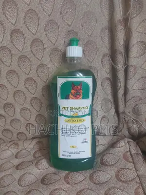 3-6 months Male Purebred German Shepherd