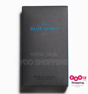 ZARA Man Blue Spirit EDT Mens Perfume