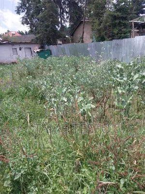 Photo - Furnished 1bdrm House in Yeka Kotobe for sale