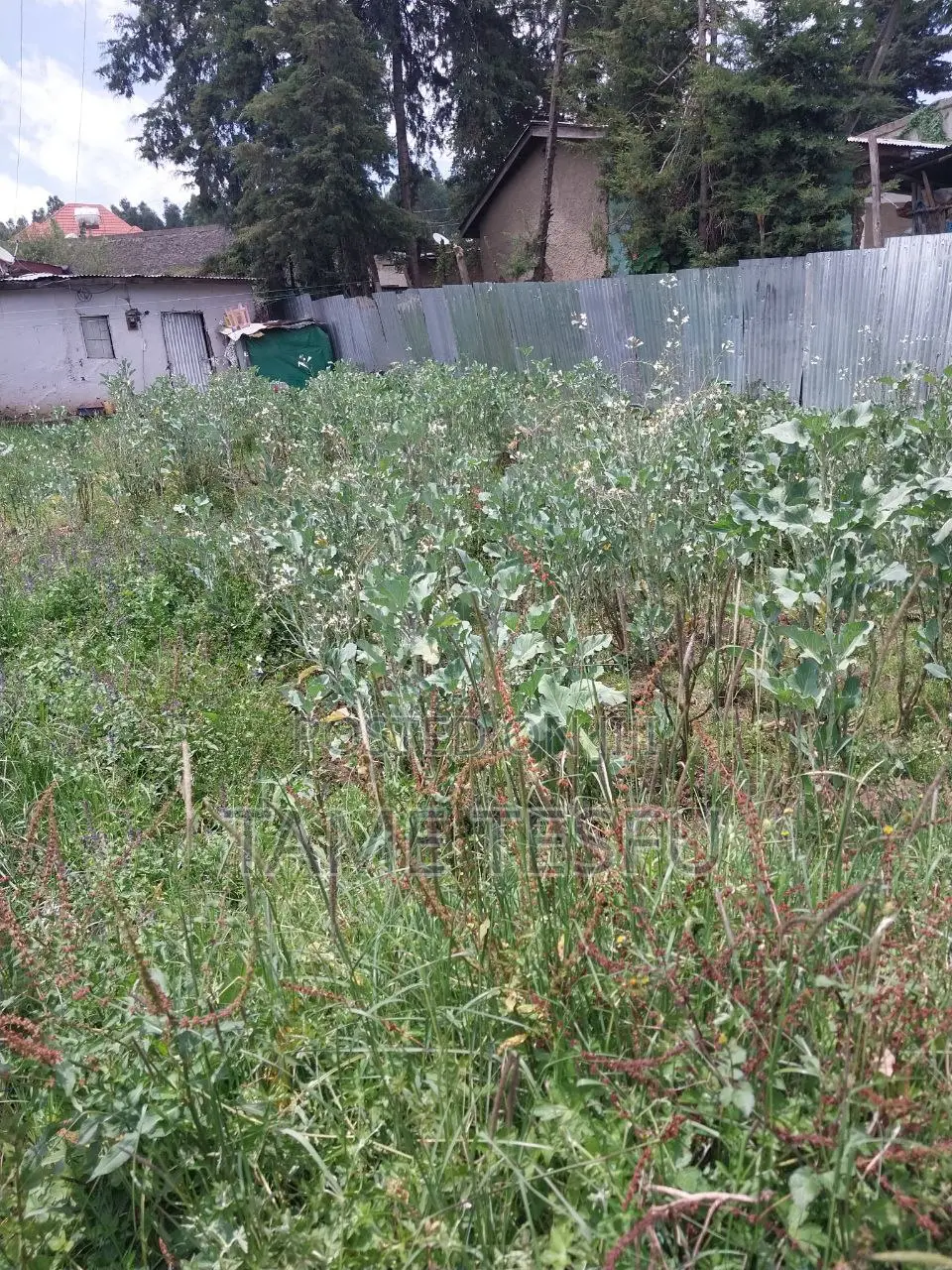 Furnished 1bdrm House in Yeka Kotobe for sale