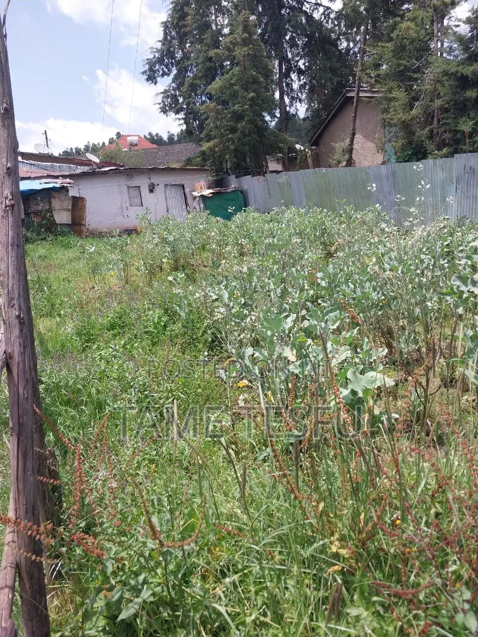 Furnished 1bdrm House in Yeka Kotobe for sale