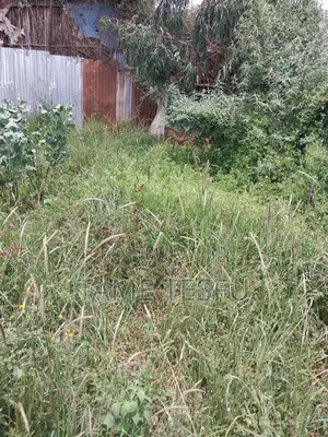 Furnished 1bdrm House in Yeka Kotobe for sale