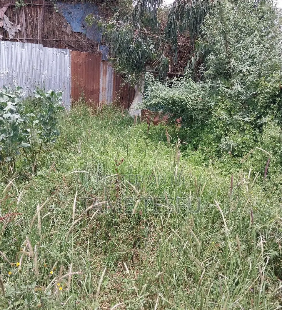 Furnished 1bdrm House in Yeka Kotobe for sale