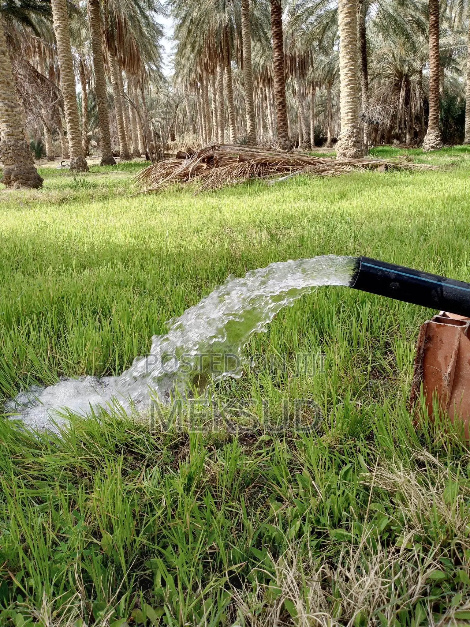 Semrsbl Pape Dc Pape Solare Panl