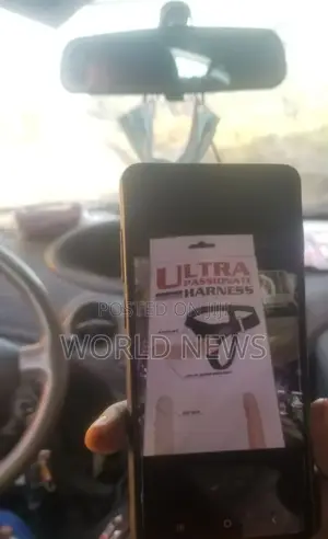 Photo - Dildo With Strap-On