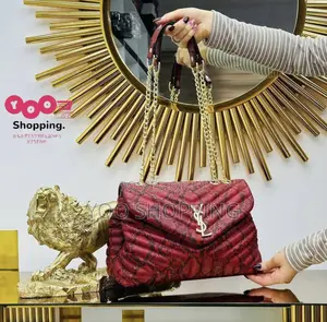 YSL Womens Shoulder Bag