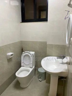 Furnished 3bdrm Apartment in Bole for rent