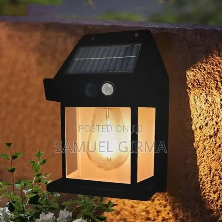 Solar Induction Wall Lamp Light