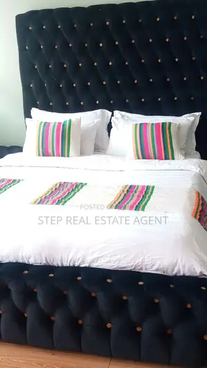 Furnished 5bdrm Apartment in Bole for rent