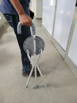 Walking Stick With Chair了walking Stick三walking Stick一ከዘራ/ከዘራ
