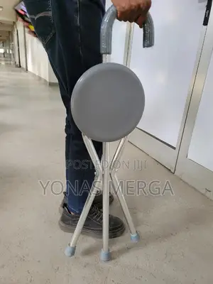 Walking Stick工walking Stick至walking Stick土walking Stick ከዘራ