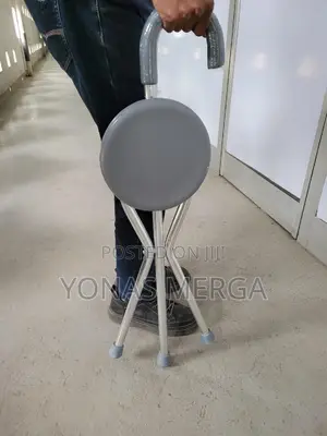 Walking Stick工walking Stick至walking Stick土walking Stick ከዘራ