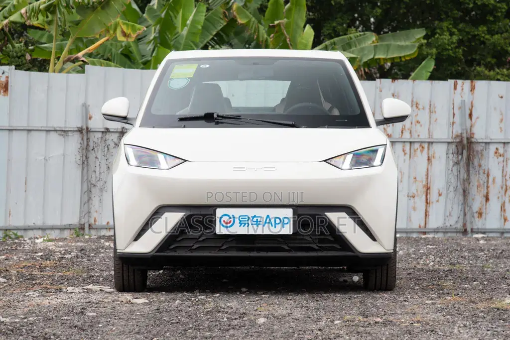 New BYD Seagull 2023 Beige