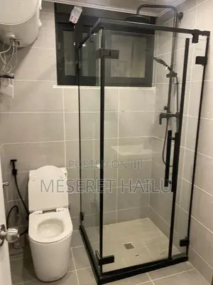 Furnished 1bdrm Apartment in Bole for rent