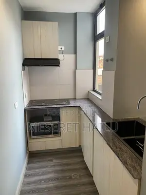 Furnished 1bdrm Apartment in Bole for rent