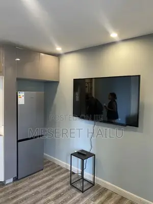 Furnished 1bdrm Apartment in Bole for rent