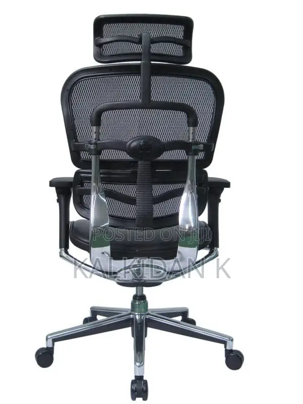 Erginomic Managerial Chair